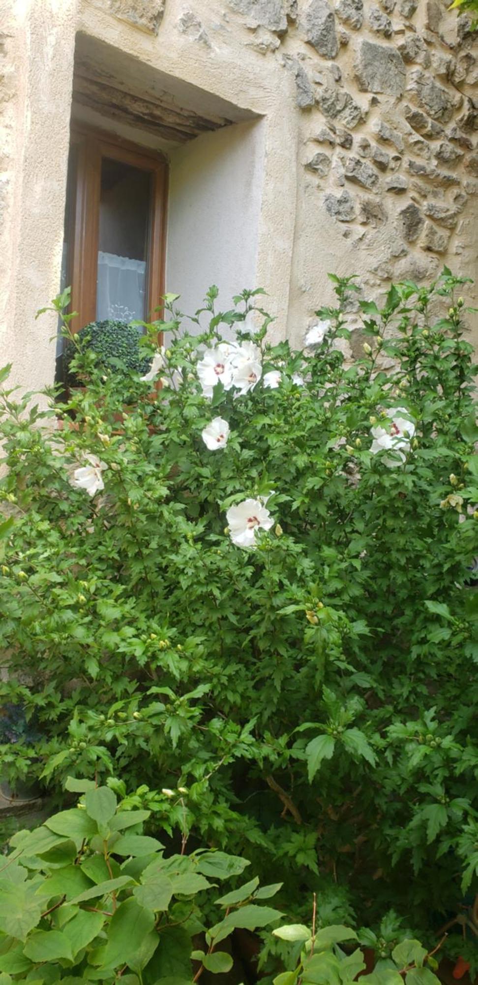 Apartamento Le Balcon Camps-sur-l'Agly Exterior foto